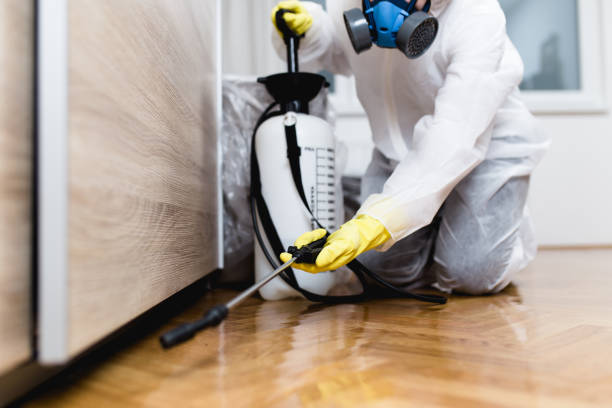 Best Pest Inspection Near Me  in Desert Hills, AZ