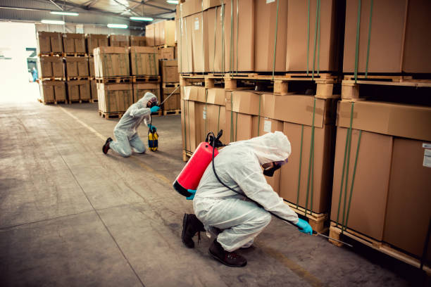 Trusted Desert Hills, AZ Pest Control Experts