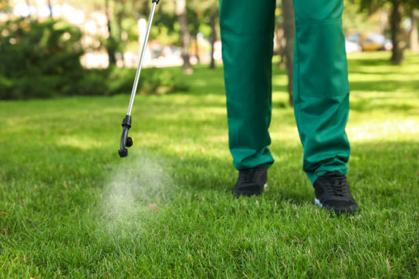Best Bed Bug Extermination  in Desert Hills, AZ