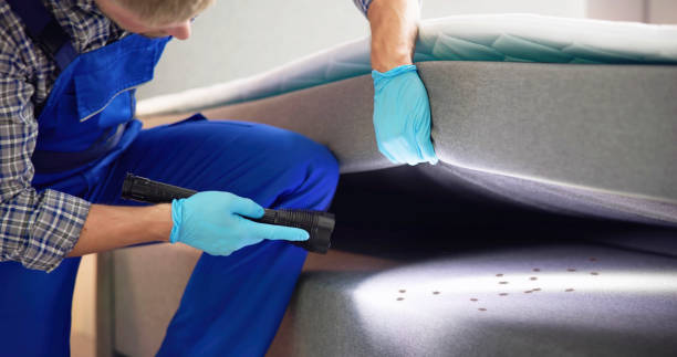  Desert Hills, AZ Pest Control Pros