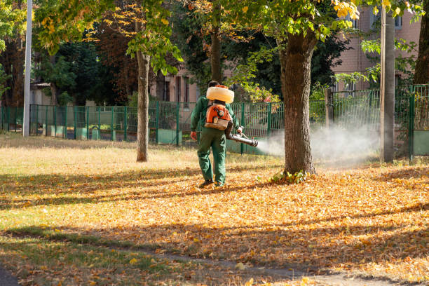 Best Best Pest Control Companies  in Desert Hills, AZ