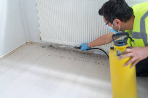  Desert Hills, AZ Pest Control Pros